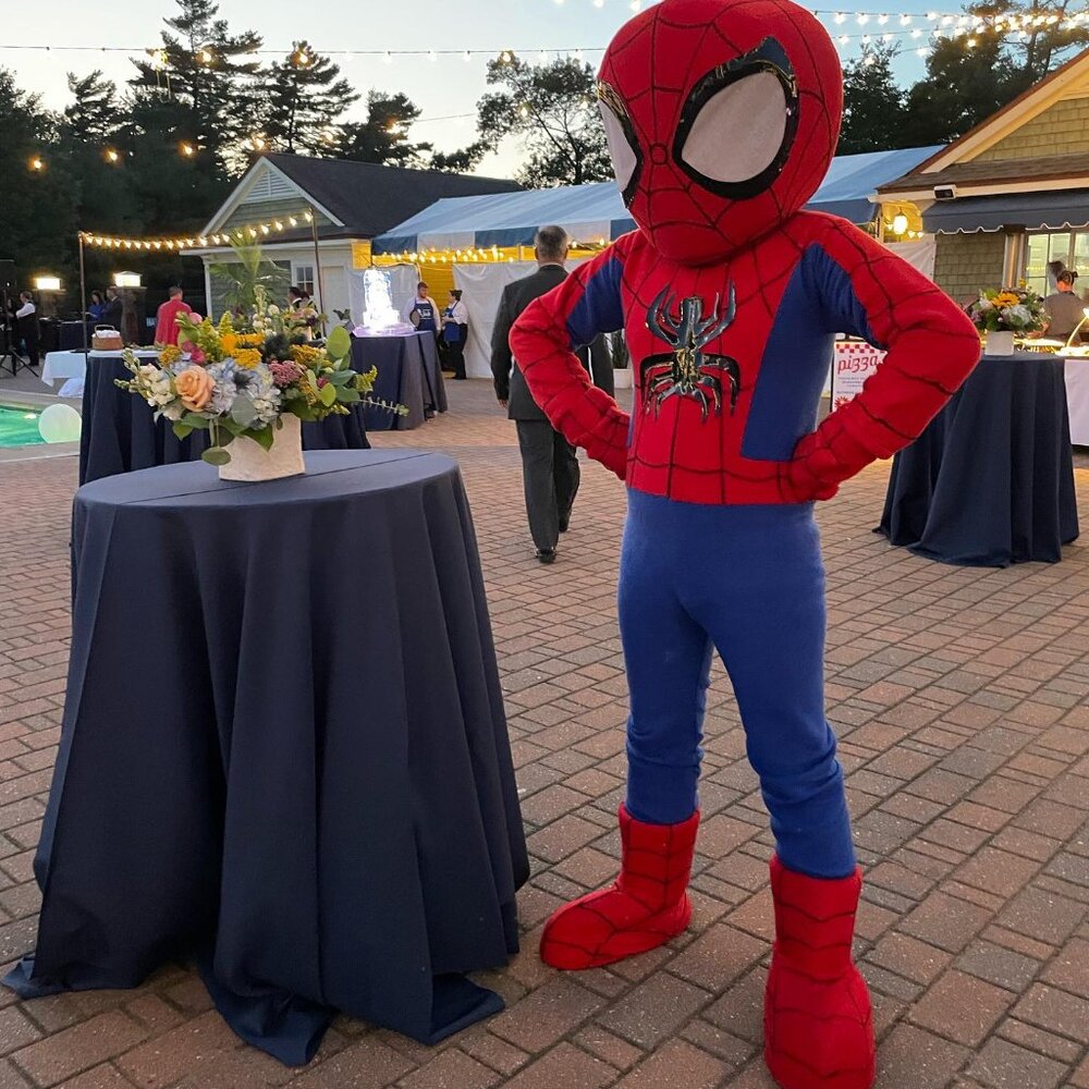🕷️Animated Spider-Man Mascot 🕸️